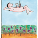 The High Trellis  Cabernet Sauvignon  McLaren Vale, South Australia  The Name:  This wine is named the High Trellis Cabernet Sauvignon in respect of one of the original blocks of vines on the d’Arenberg property. It was bought by Joseph Osborn in 1912. The standard trellised vines (about 18 inches off the ground) were re-trellised in the 1920’s to a height of about 36 inches. This is now probably the standard height but back then this was considered high. Gradually, the white ants ate the posts and the rust attacked the vine until no trellis remained. In the mid-1980s the trellis was rebuilt back to the standard height and the block has retained its name- ‘The High Trellis